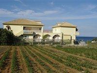 Drosia Beach Kypseli Exterior foto